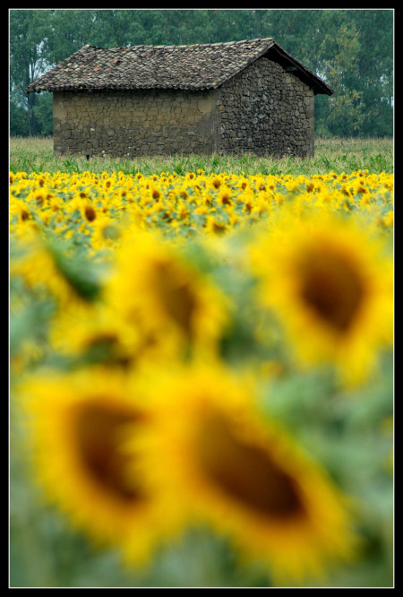 Saint-Hilaire-du-Rosier.jpg